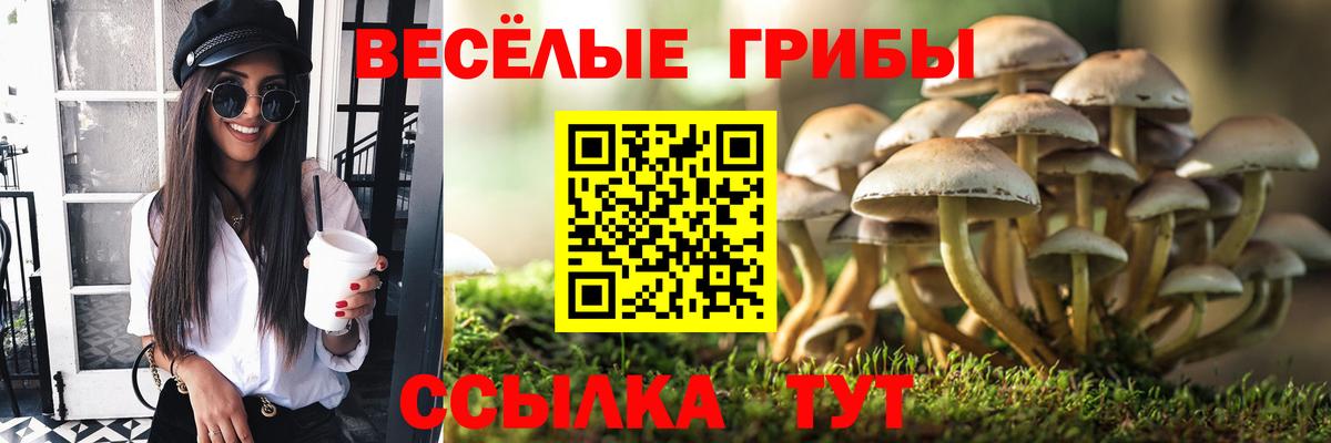Галлюциногенные грибы прущие грибы Долгопрудный