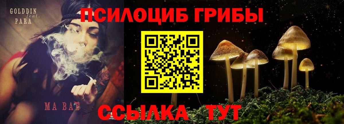 Галлюциногенные грибы MAGIC MUSHROOMS  Вход с VPN  купить наркотики цена  Долгопрудный 